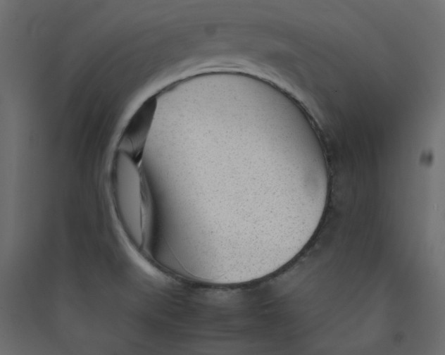 X0000089451519200707131916