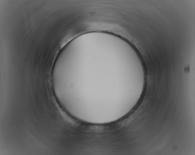 X0000089451521200707131916