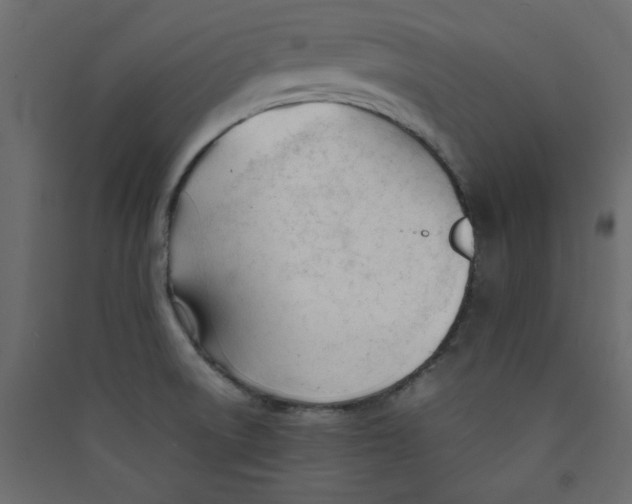 X0000089451522200707131916