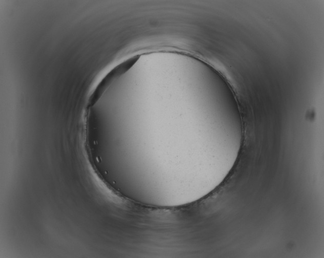 X0000089451524200707131916