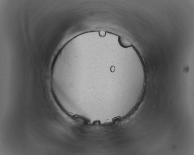 X0000089451525200707131916