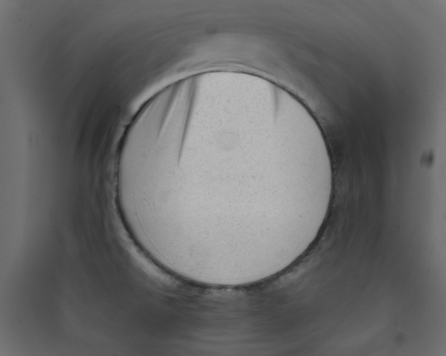 X0000089451526200707131916