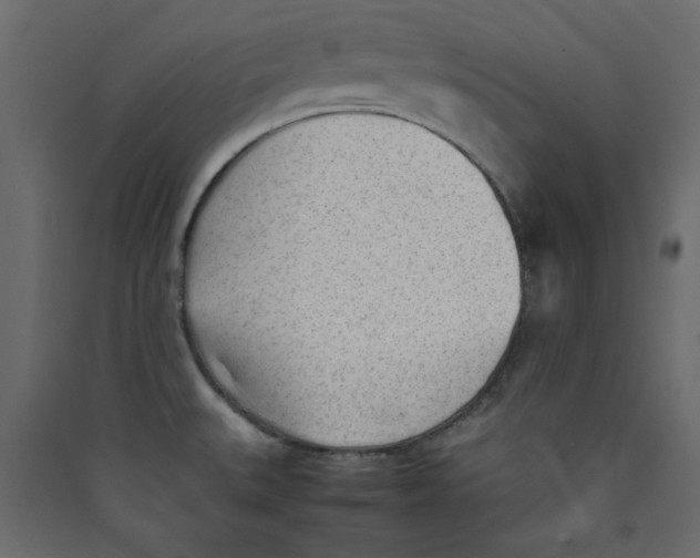 X0000089451527200707131916