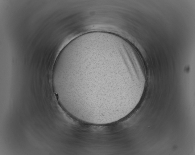 X0000089451529200707131916