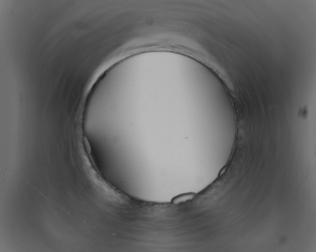 X0000089451530200707131916