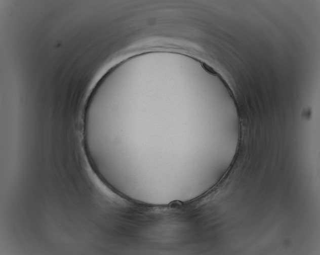 X0000089451531200707131916