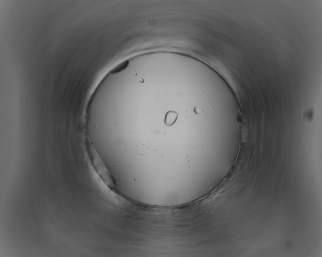 X0000089451532200707131916