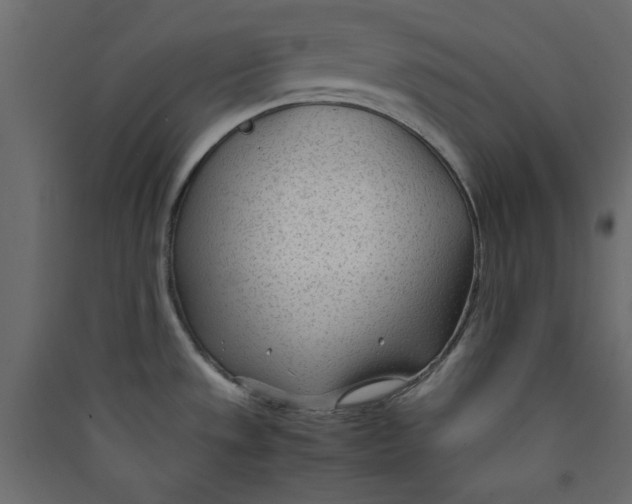 X0000089451533200707131916