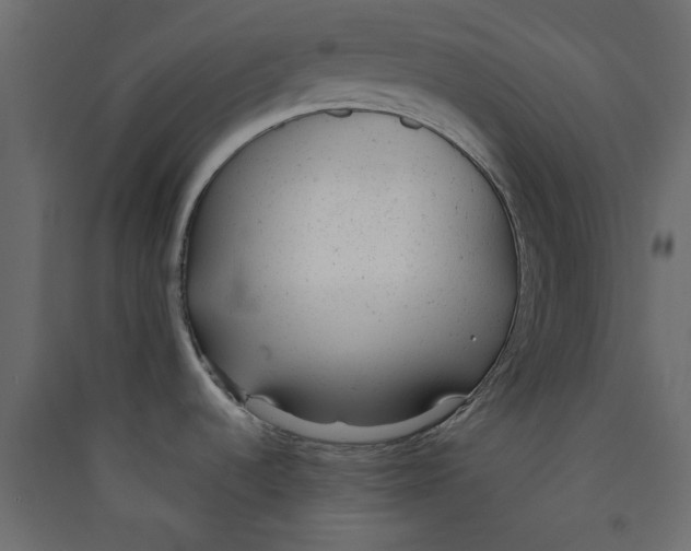 X0000089451536200707131916