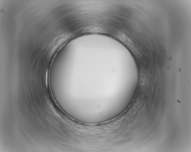 X0000089460014200706151117