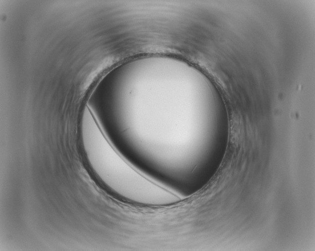 X0000089460015200706151117