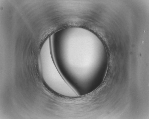 X0000089460017200706151117