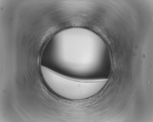 X0000089460019200706151117