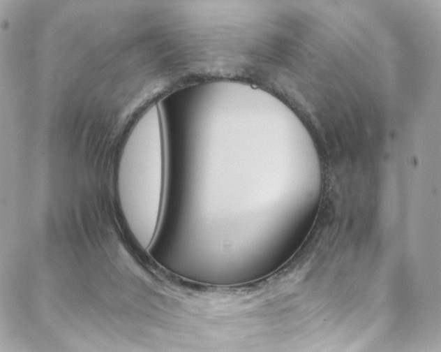 X0000089460020200706151117