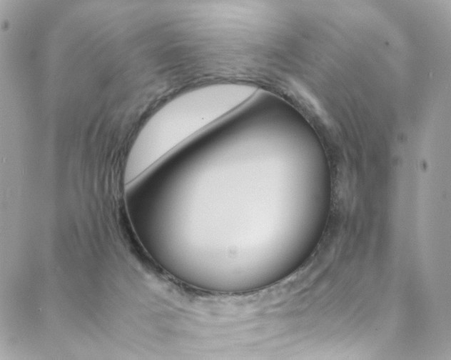 X0000089460025200706151117