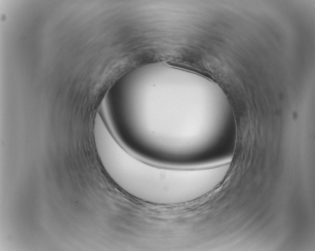 X0000089460041200706151117