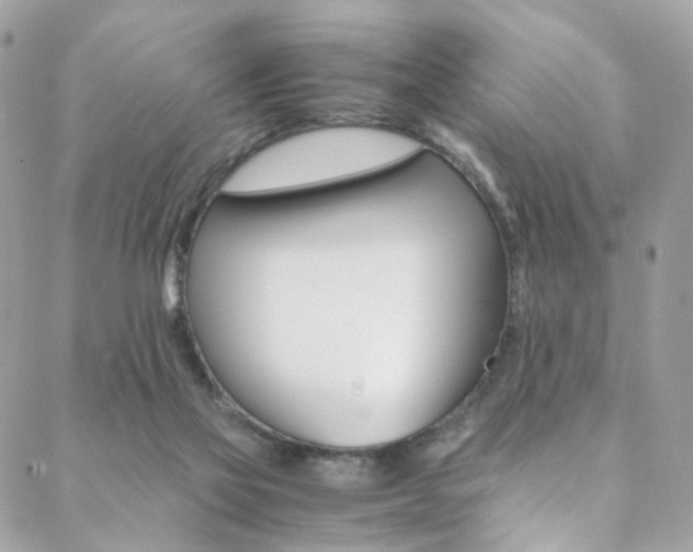X0000089460069200706151116