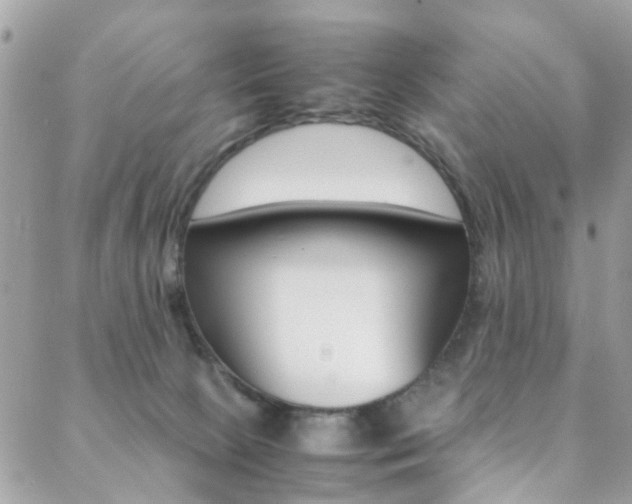 X0000089460081200706151116