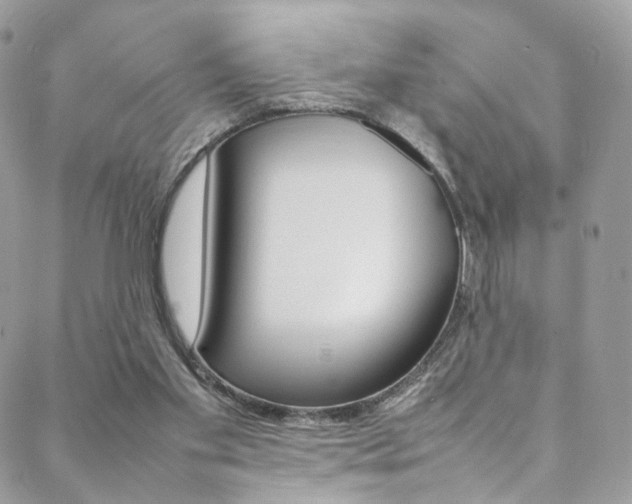 X0000089460109200706151116