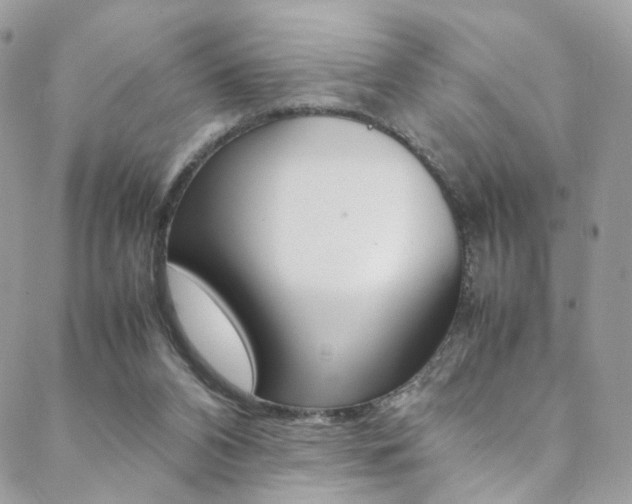 X0000089460112200706151116