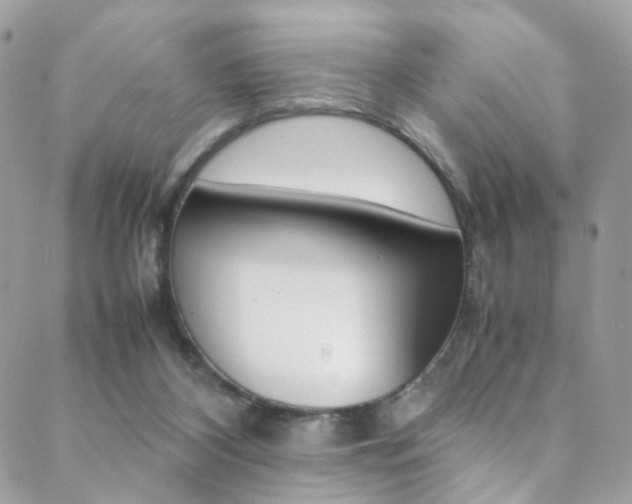 X0000089460116200706151116