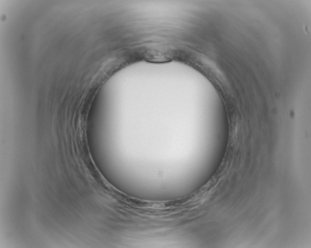 X0000089460121200706151115