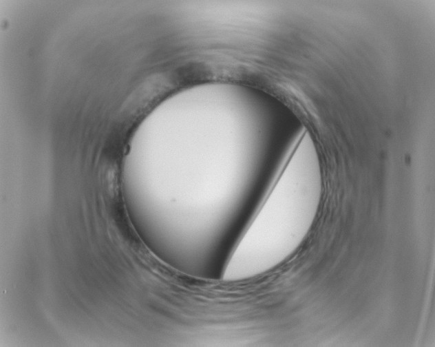 X0000089460123200706151115