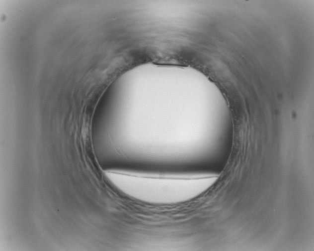 X0000089460129200706151115