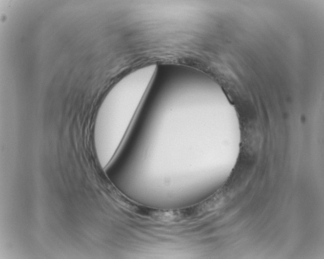 X0000089460131200706151115