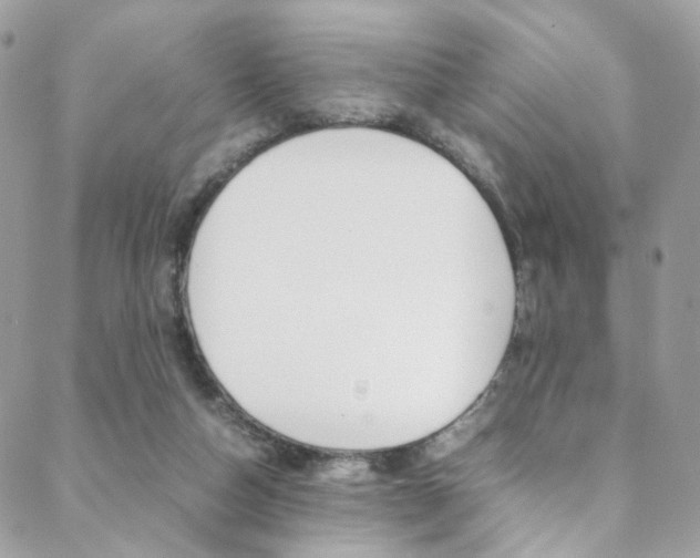 X0000089460162200706151115