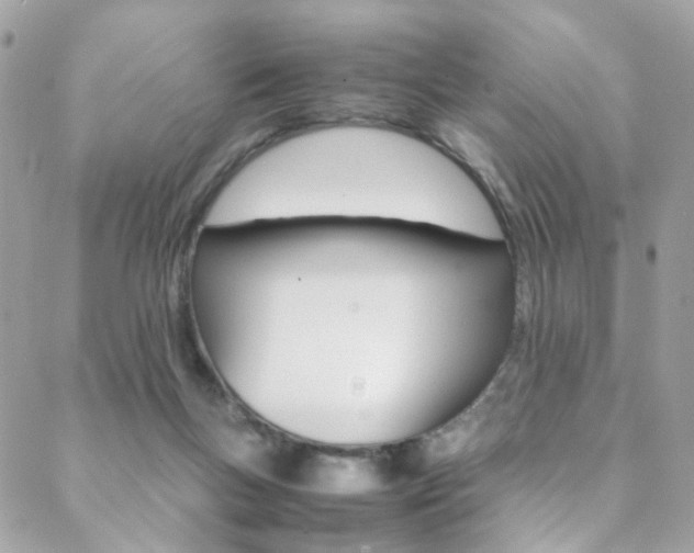 X0000089460167200706151115