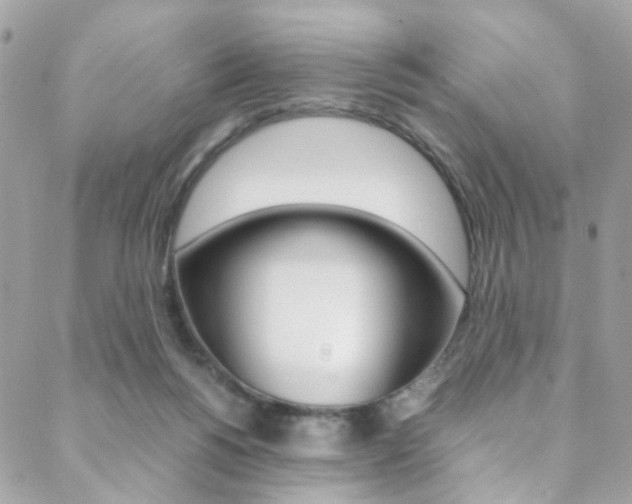 X0000089460168200706151115