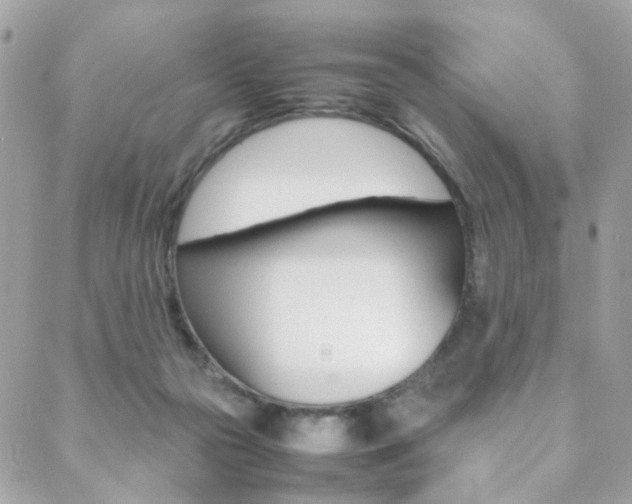 X0000089460169200706151115