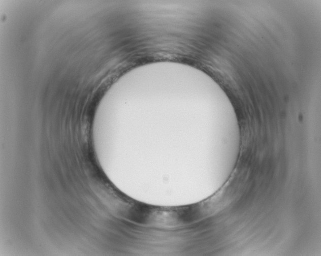 X0000089460174200706151115