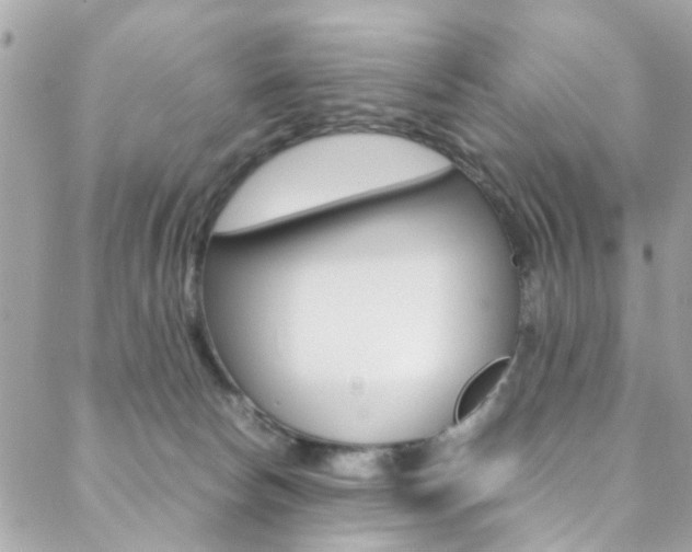 X0000089460178200706151115