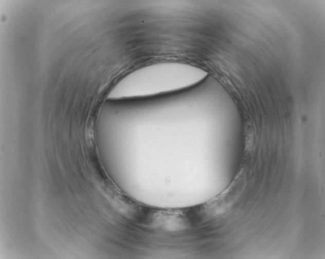 X0000089460179200706151115
