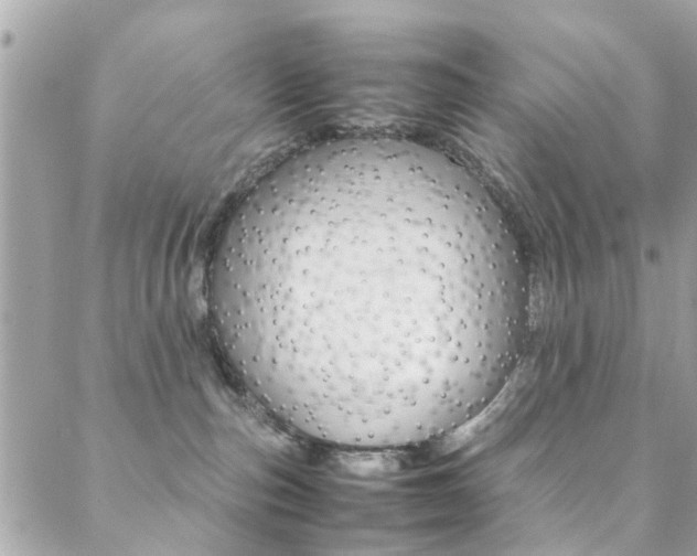 X0000089460187200706151115