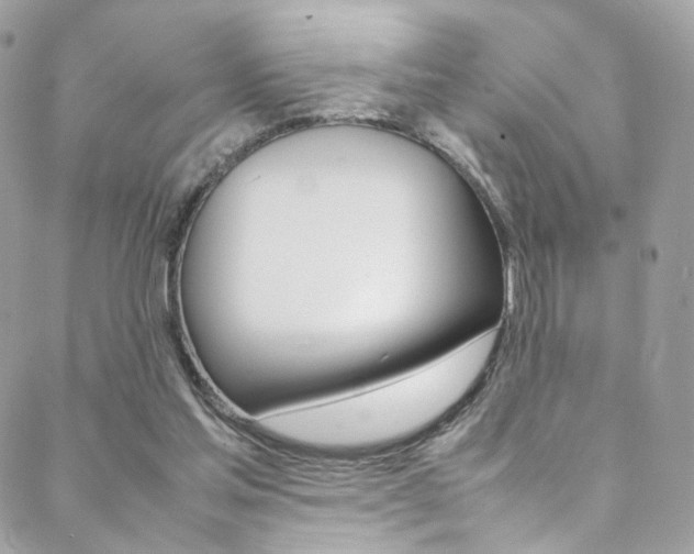 X0000089460205200706151114
