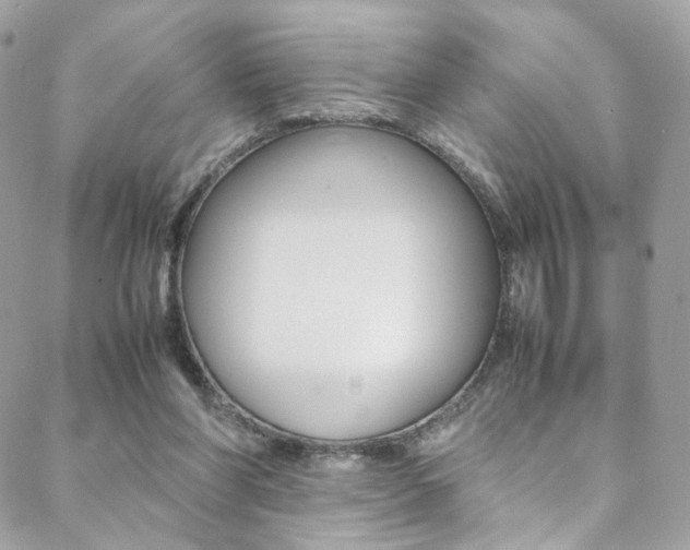X0000089460206200706151114