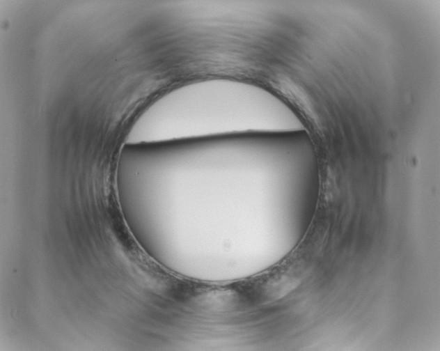 X0000089460210200706151114