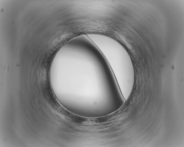 X0000089460211200706151114