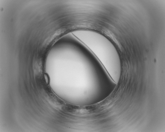 X0000089460212200706151114