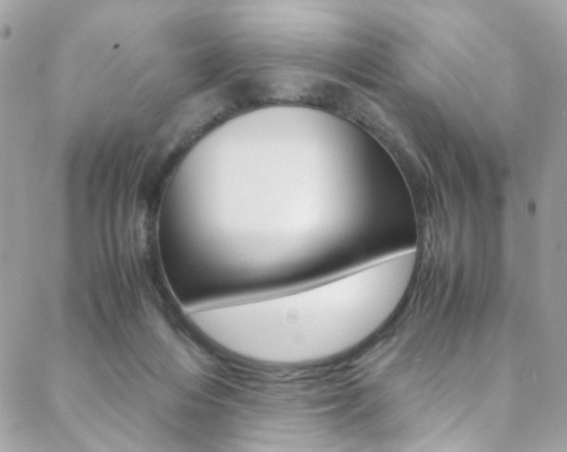 X0000089460216200706151114
