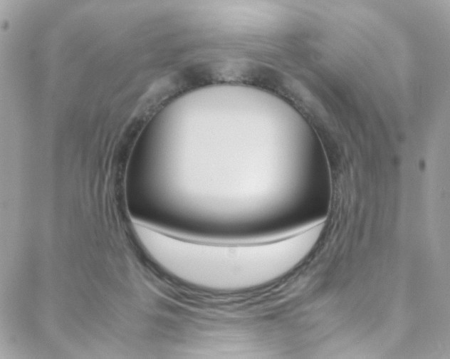 X0000089460217200706151114