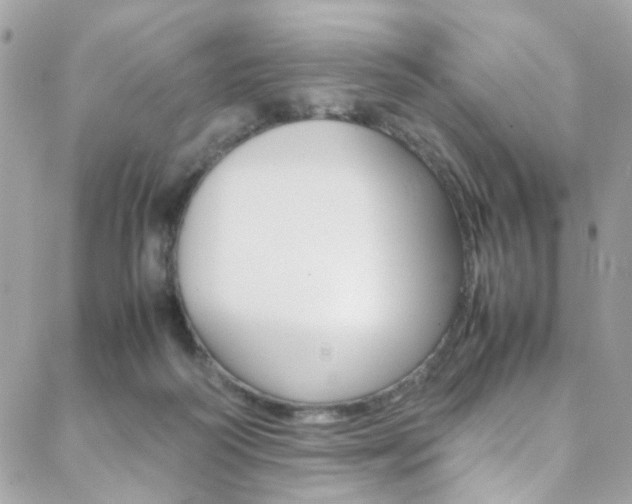 X0000089460218200706151114