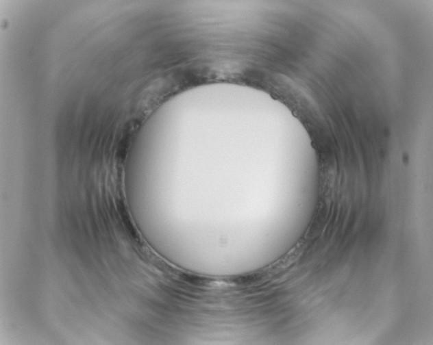 X0000089460222200706151114
