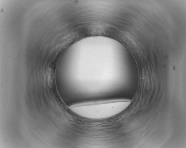 X0000089460228200706151114