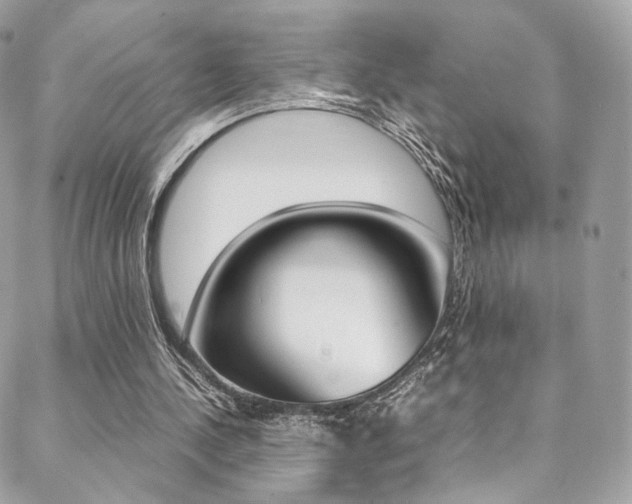 X0000089460244200706151113