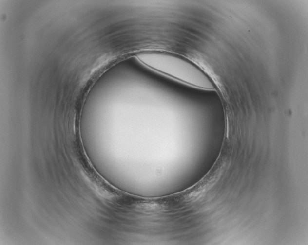 X0000089460253200706151113