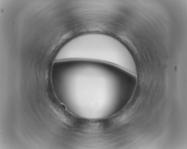 X0000089460260200706151113